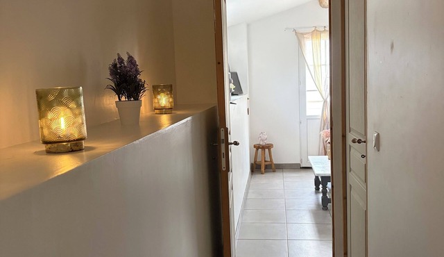 Mas in the Camargue at the heart of a horse farm