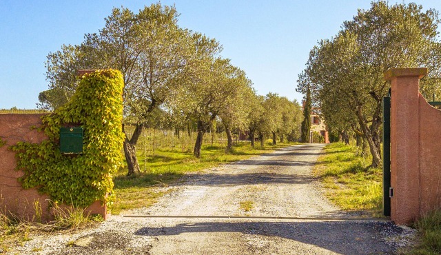 Mas in the heart of the vineyards