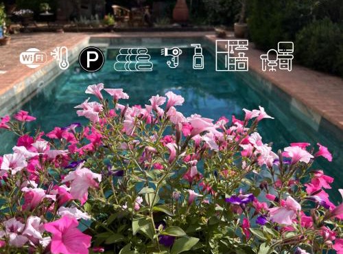 Mas L EPICURE- Charming Provence B&B, Apartment, Pool & Vines