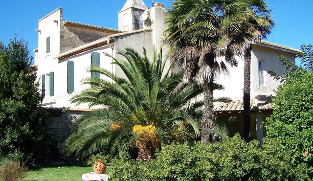 Mas of Character Judge Gite With Pool In A Traditional Mas Camargais