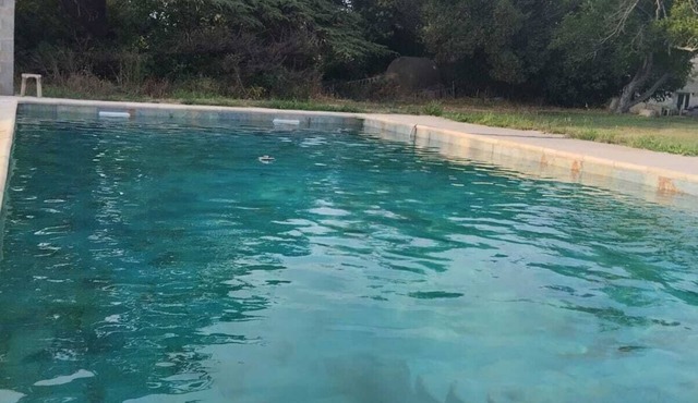 Mas Provençal à 10 Minutes de Nîmes. Animaux de Compagnie Acceptés !