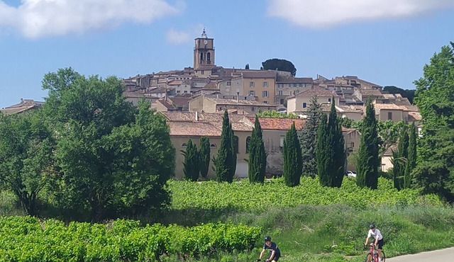 mas Provençal Avec Piscine au Pied de Séguret