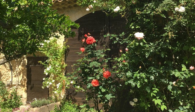 Mas provençal
