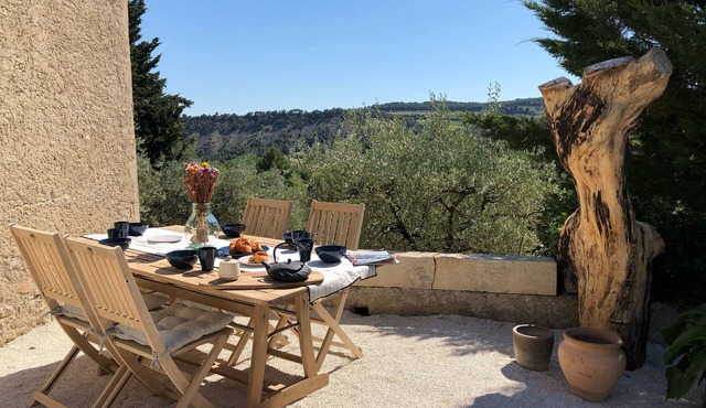 Mas provençal La Serallère in the heart of olive groves