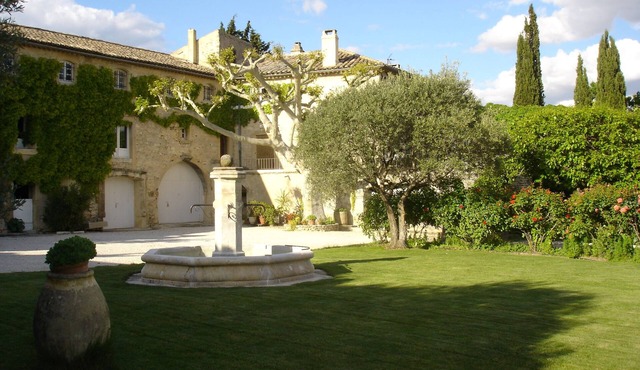 MAS PROVENCAL in olive and truffle trees