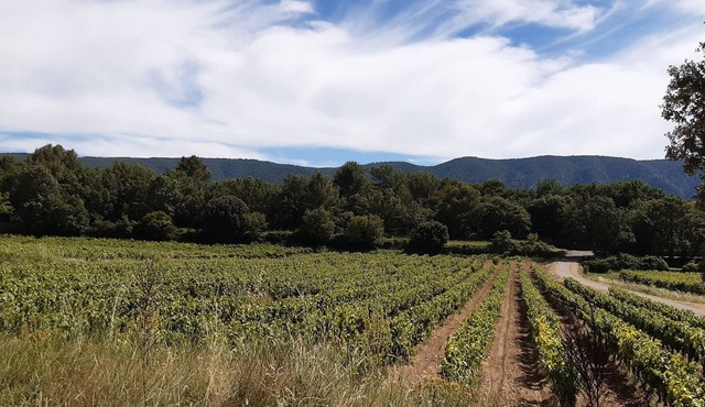 Mas Roumiguier - Ménerbes - Heated swimming pool