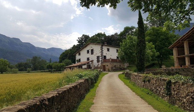 Mas Rubió