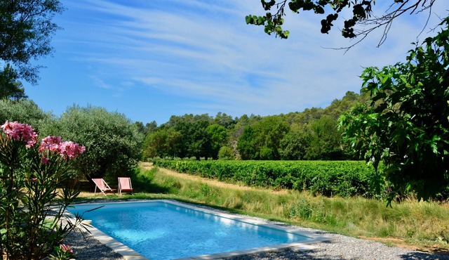 Mas Saint Antoine - Between olives and vines, near Cotignac