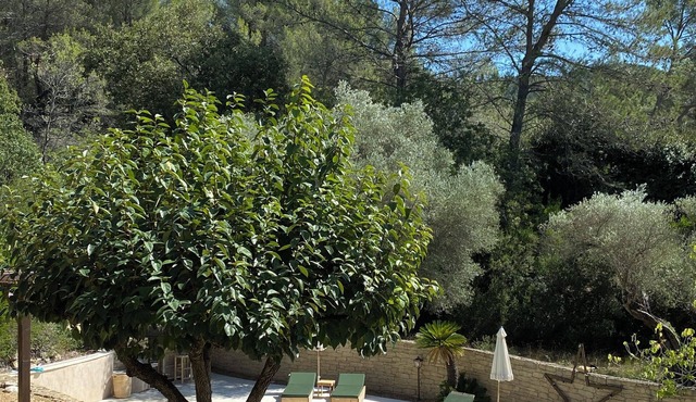 Mas Tihou charming Provencal estate✨& Nordic bath 🫧