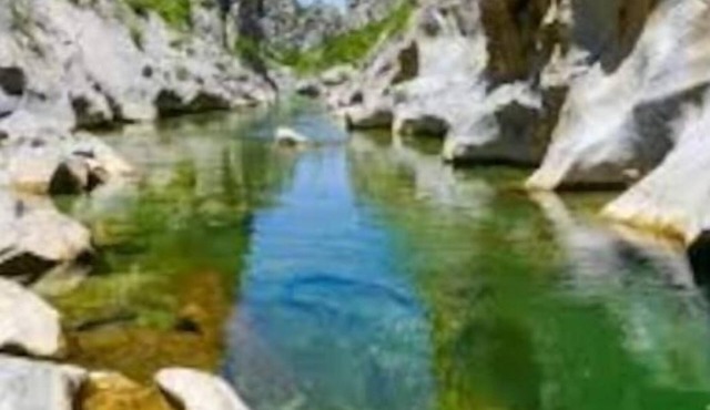 Mas Viticola Catalan