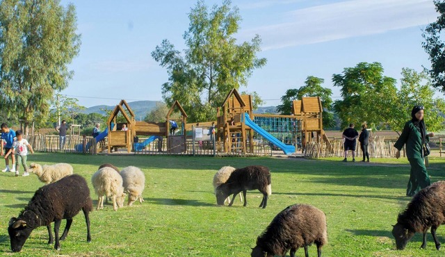 Mas with pool in an educational farm