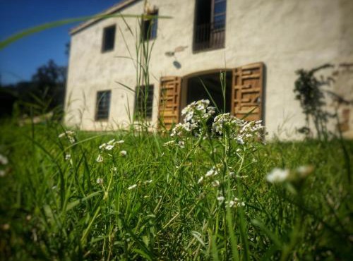 Masia Mediterranian Country House Ca l'Isidre Torrent