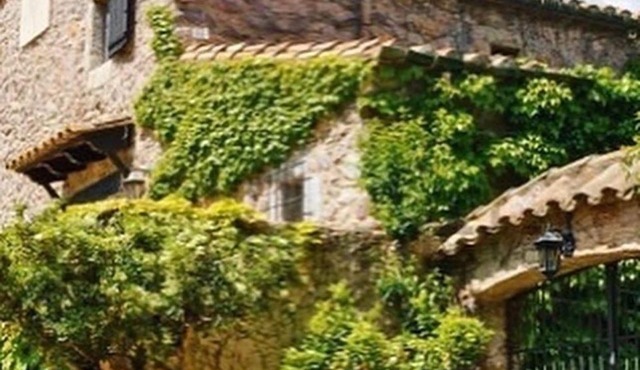 Masia Mimosa