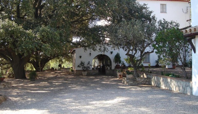 Masia Rural Les Alsines