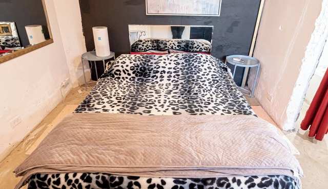 Massive Loft- kid,pet and party friendly. Private parking. Minutes from border.