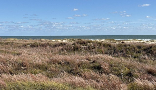 Matagorda Beach Front Home - With Front- Row Beach View