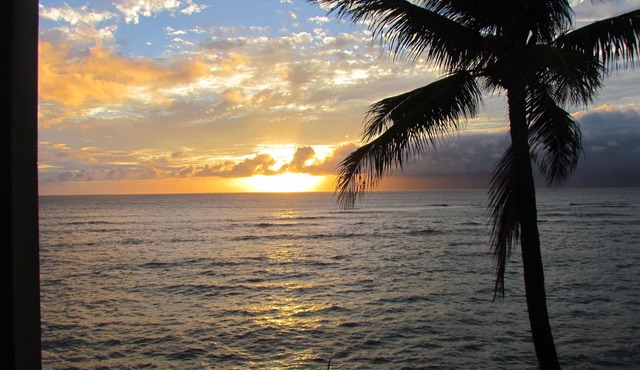 Maui is calling.it's a great time to take a trip!