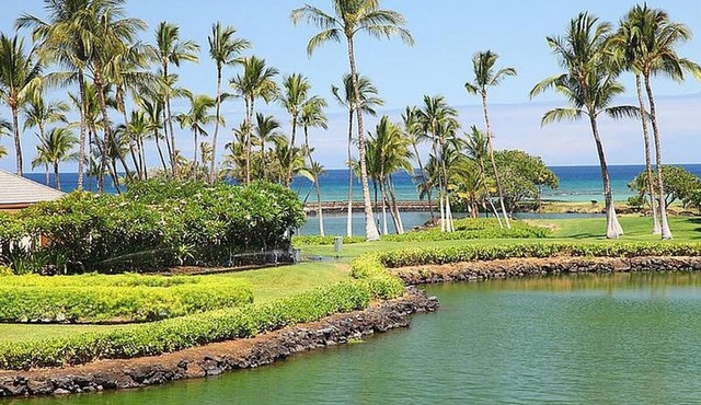 Mauna Lani Terrace E201