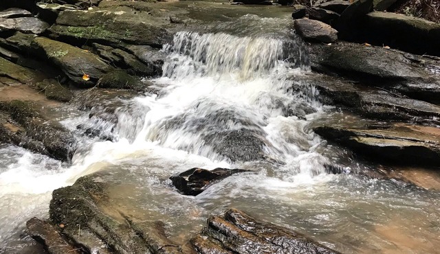 May Discount! River & creek, waterfall, hot tub, fire pit, dogs OK