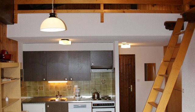 Mayens de l'Ours DZ 131 - MOUNTAIN apartment 6 per