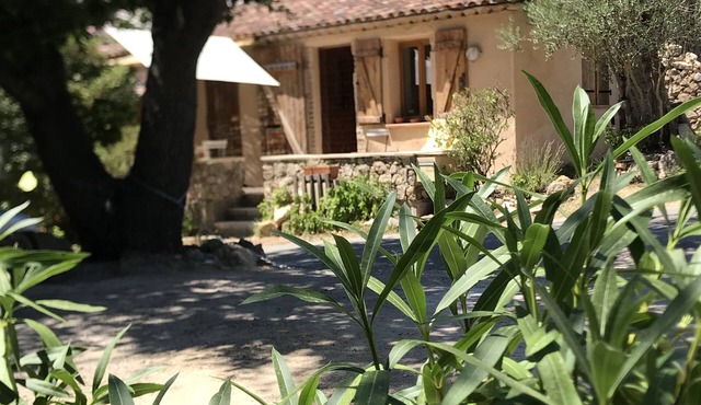 Mazet en Pierre - 4 Personnes - 2 Pièces - 1 Chambre - 60 m²