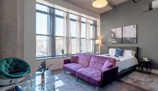 McCormick Place Studio/Optional parking/sleeps up to 4