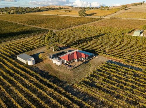 McGill Vineyard Barossa