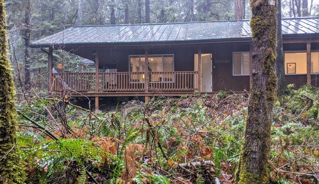 McKenzie River Cozy Cabin