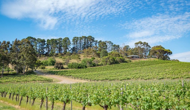 McLaren Vale Getaways - Hillside House