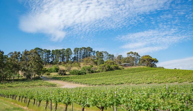 McLaren Vale Getaways