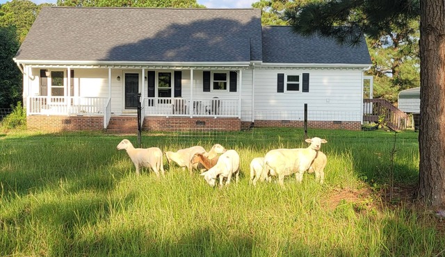 Meadow Farm in Holly Springs, NC