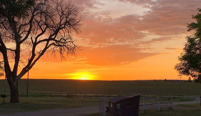 Meadow Park Motel on 385