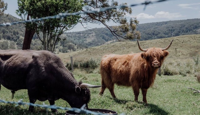 Meadow View Cottage your perfect family escape