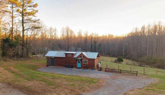 Meadow View Farm w/Highland Cows!