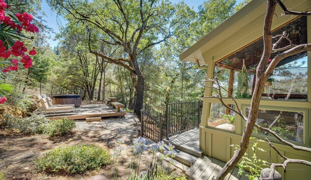 Meadow Vista Mountain Escape w/River Views!