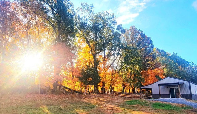 Meadow Wood Cottage nPeaceful, Relaxing Luxury in the Country