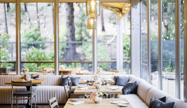 Meadowood Napa Valley