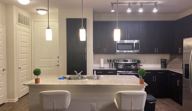 Med Center Luxury 2br Apt