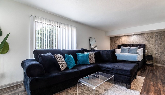 MedCenter Apt Studio: NRG Stadium, Toyota Center, Downtown Houston,Galleria Mall