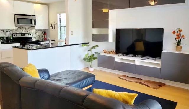 Medical Center Modern Condo! Walk to Work!