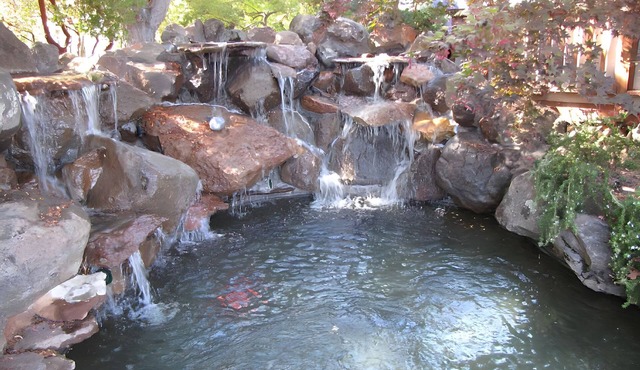 Meditation Retreat - Nourish your SOUL!