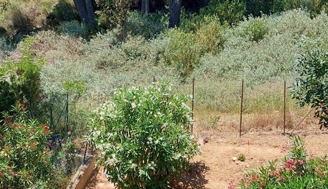 Mediterranean flag Saint Peter the sea, near Narbonne beach.
