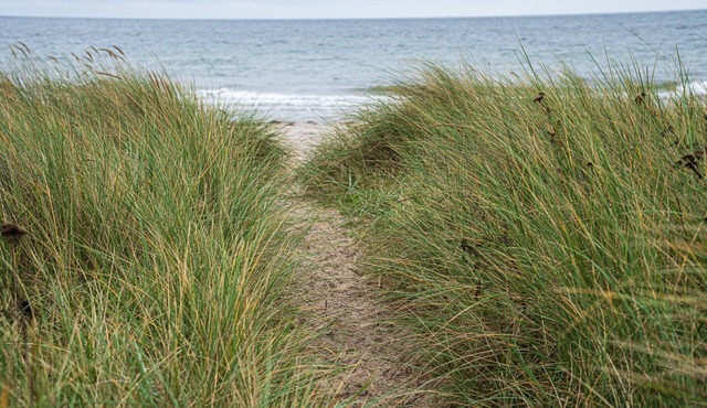 Meer-als Dänemark