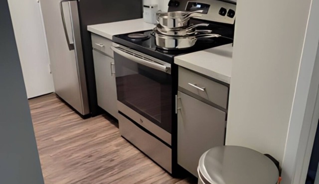 Meet Serenity Where the birds love to be.