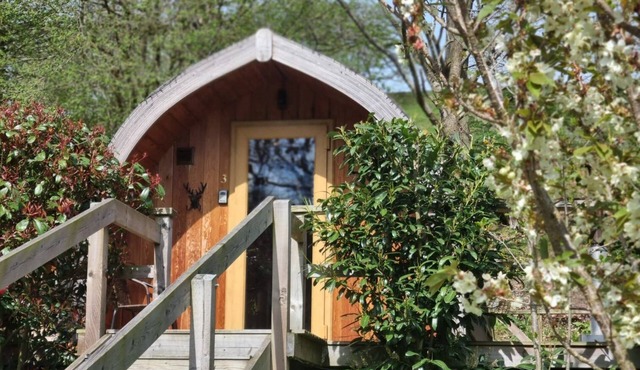 mega pod 2 - a mega pod that sleeps 4 guests in 1 bedroom