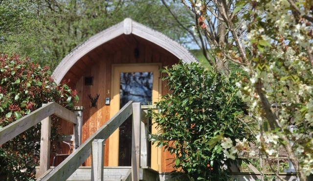 mega pod 3 - a mega pod that sleeps 4 guests in 1 bedroom