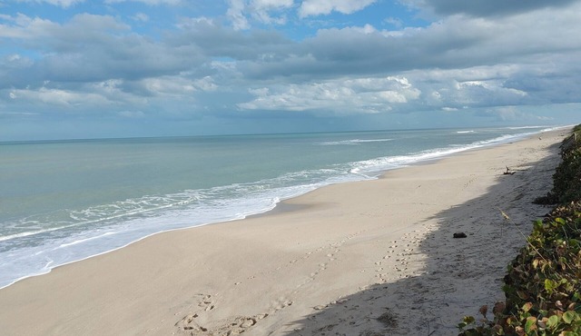Melbourne Beach House and Basement Apt on 1.2 acres ocean front