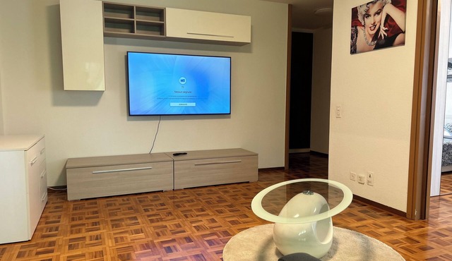 Melide lake apartment