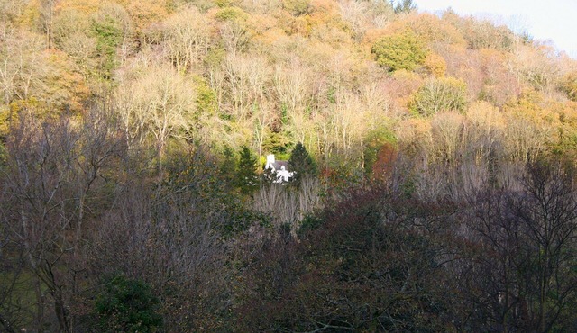 Mellow Mountain Eco Retreat exclusive use with Tipi, wood burning Hot Tub, Sauna