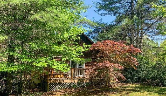 MEMORIAL DAY AVAIL! Edelweiss - 2BR/1.5BA WiFi, Near New River & BR Parkway